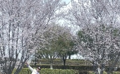 羞羞在线阅读页面免费漫画网站